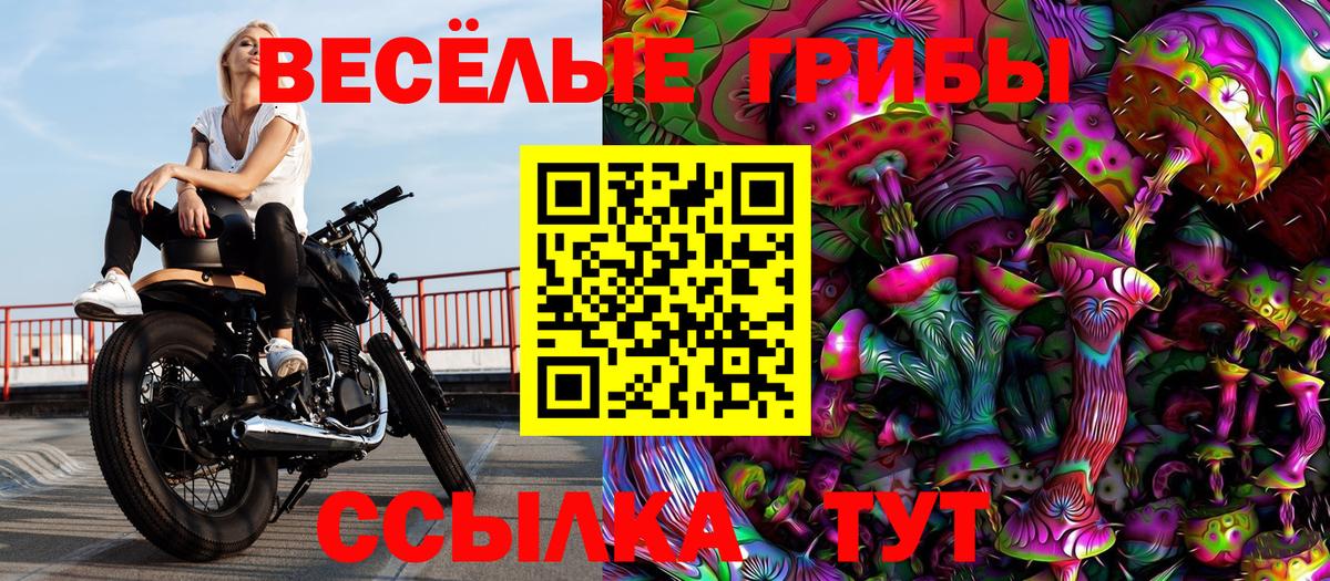 Галлюциногенные грибы Psilocybine cubensis Орехово-Зуево